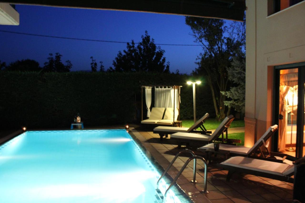4-Seasons Pool Villa Near Meteora Трикала Экстерьер фото