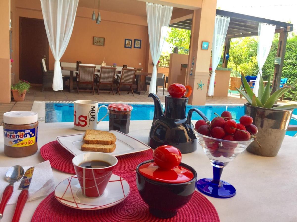 4-Seasons Pool Villa Near Meteora Трикала Экстерьер фото